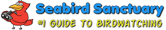 Seabird Sanctuary | #1 Guide to Birdwatching