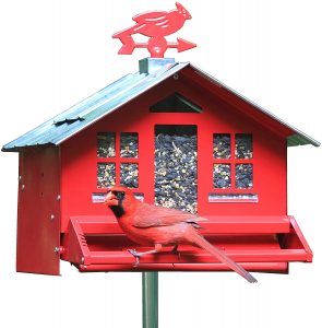 Perky-Pet 338 Squirrel-Be-Gone II Country House Bird Feeder with Weathervane