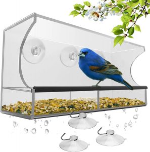 Nature’s Hangout Window Bird Feeder